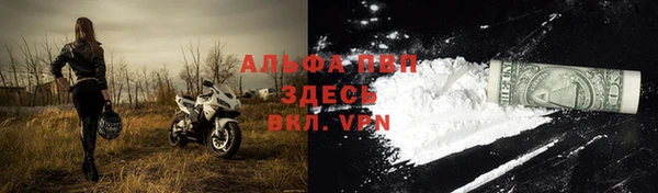 СК Горняк