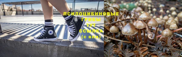 СК Горняк