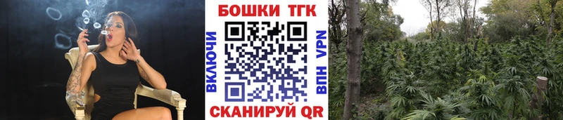 наркота  Заозёрск  Каннабис AK-47 